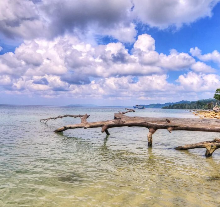5-Days-Andaman-Island-Tour-with-Neil-Island-–-explore-pristine-beaches-coral-reefs-and-scenic-landscapes-with-a-perfect-blend-of-relaxation-and-adventure