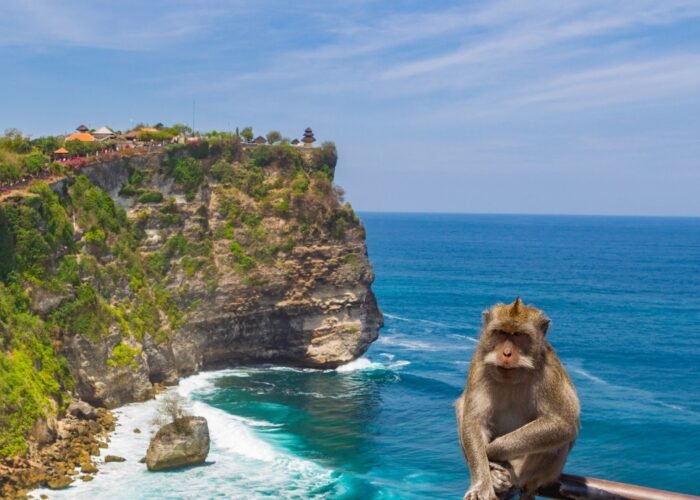 5 Days Bali Family Tour Itinerary covering Ubud, Kuta, Bali Safari Park, Tanjung Benoa water sports, Uluwatu Temple, and the Kecak Dance show.