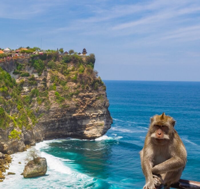 5 Days Bali Family Tour Itinerary covering Ubud, Kuta, Bali Safari Park, Tanjung Benoa water sports, Uluwatu Temple, and the Kecak Dance show.
