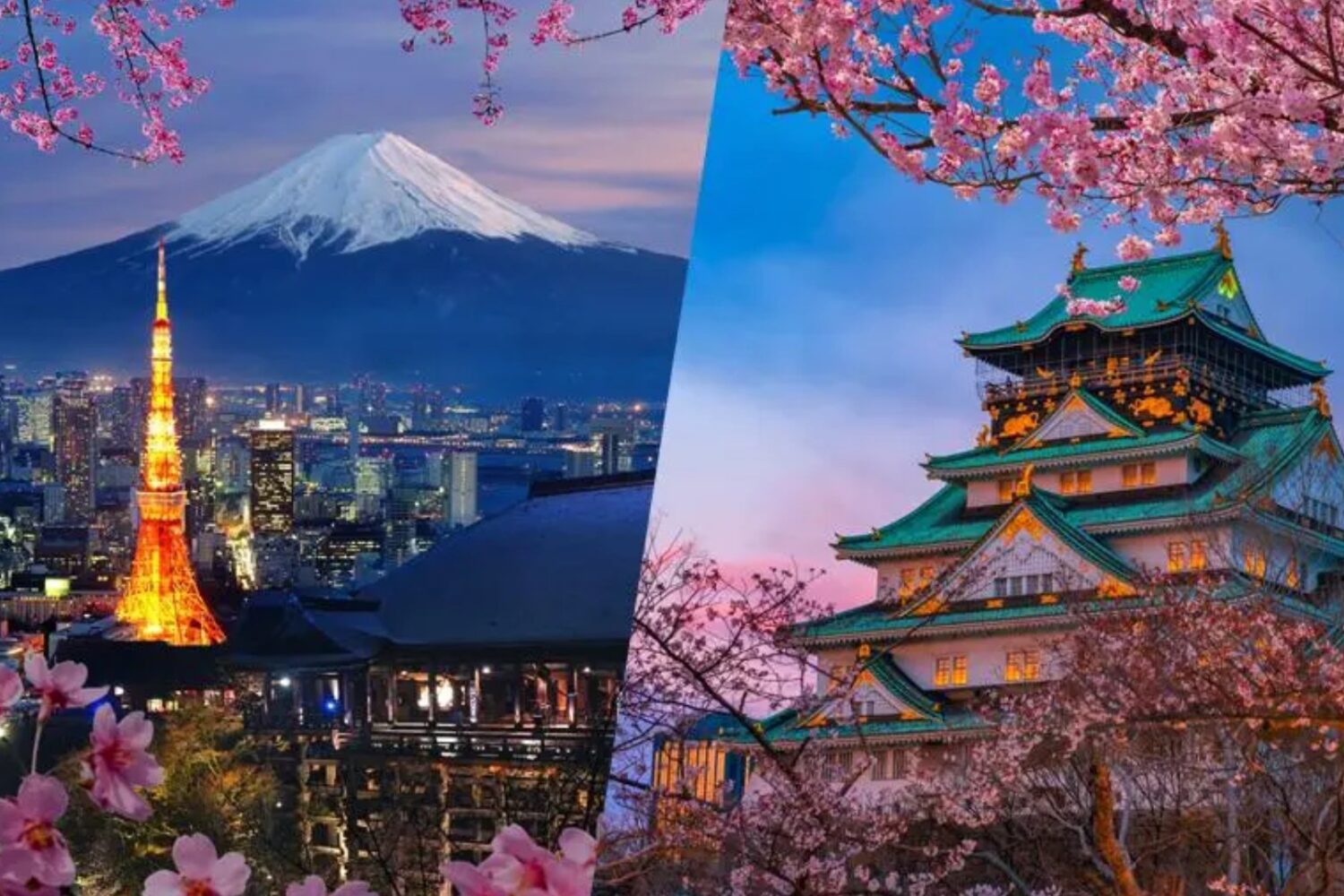 Japan Golden Route Experience from Bangalore